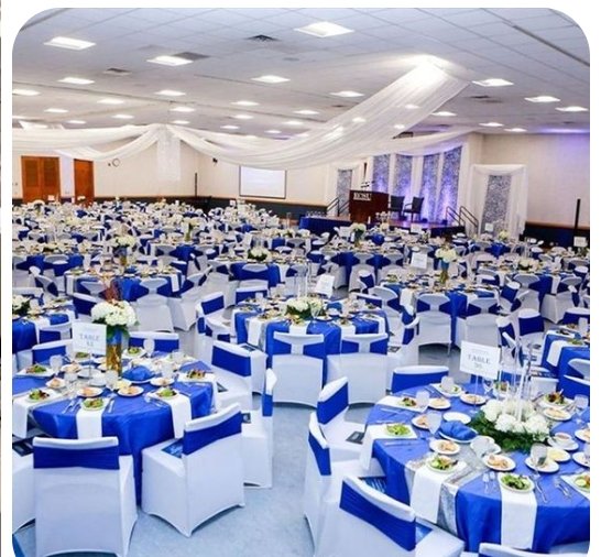Sommet & Banquet de Gala Bleu Roi FloDeco